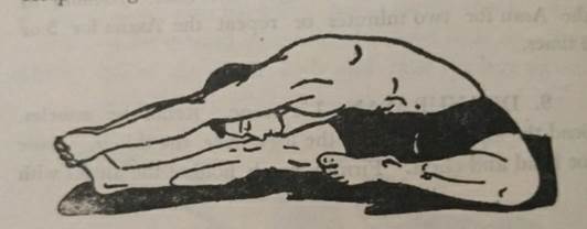 WhatsApp Image 2024-04-20 at 10.49.14 PM (1).jpeg