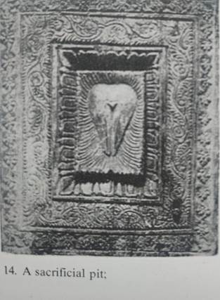 WhatsApp Image 2023-11-22 at 10.12.05 PM.jpeg