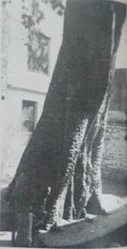 WhatsApp Image 2023-11-22 at 10.12.07 PM.jpeg